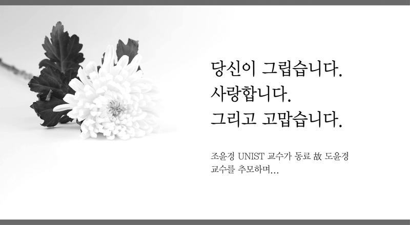 소중한 꿈 함께했던 우리, 