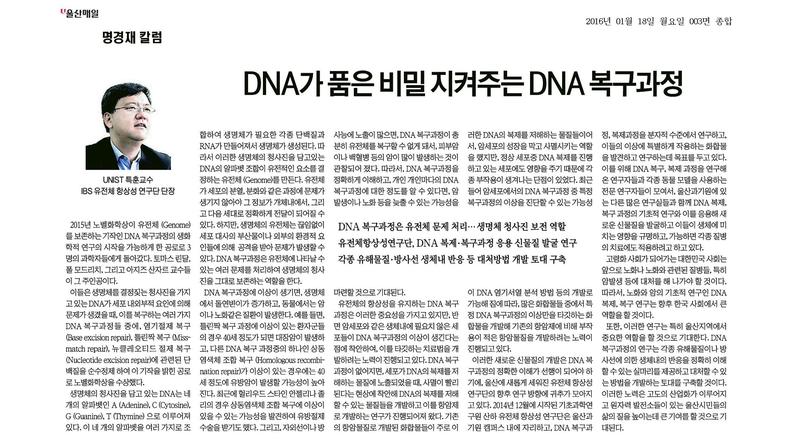 [명경재 칼럼] DNA가 품은 비밀 지켜주는 DNA 복구과정