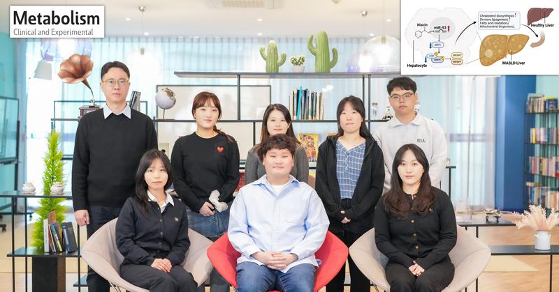 대사이상 지방간, 비타민만 먹어도 개선?.. 치료 표적 발굴