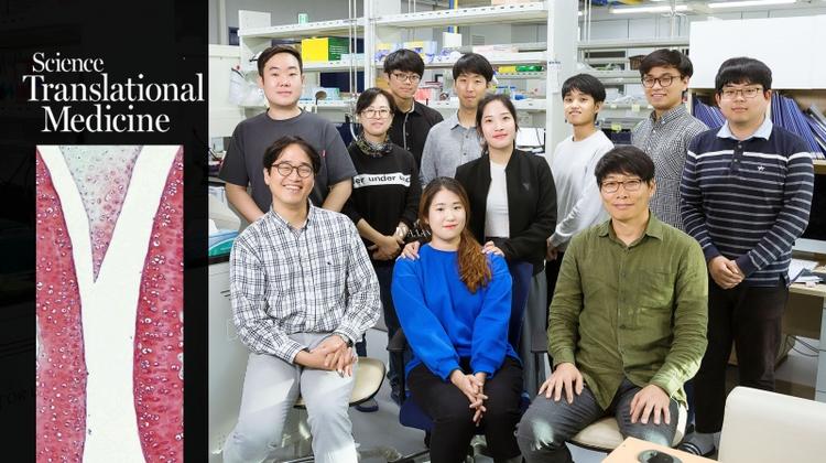 Researchers Discover Genetic Profile in Frogs to Treat Arthritis