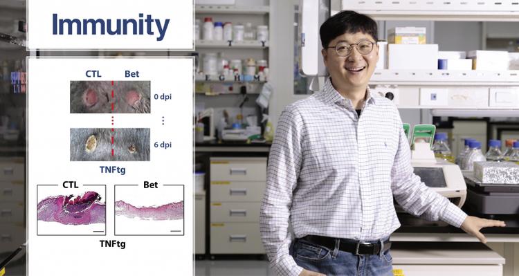 Unlocking the Secrets of Faster Wound Healing