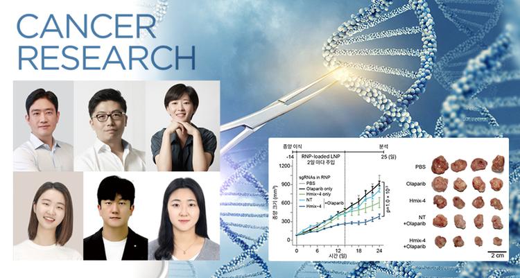 New Gene Editing Technology Enables Selective Destruction of Cancer Cell DNA Using Fewer Targets