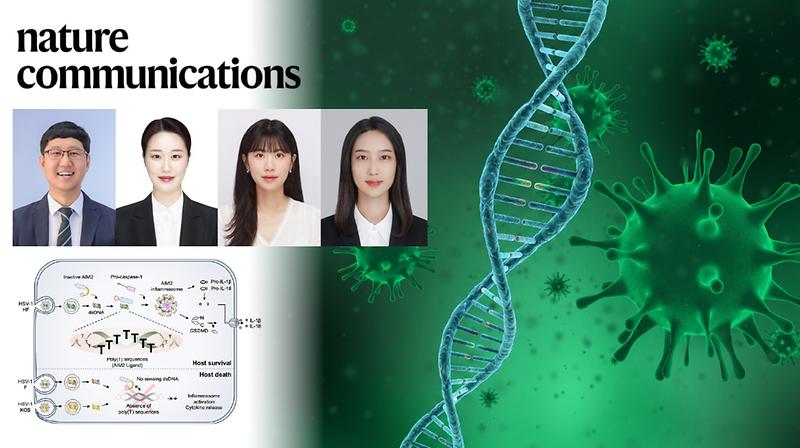 New Study Unveils Viral DNA ‘Barcode’ that Activates Innate Immunity, Opening New Therapeutic Avenues