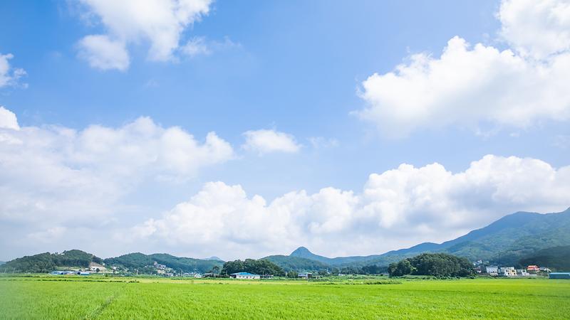 [매일시론] 몇 번의 여름이 더